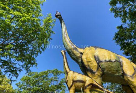 のんほいパーク ブラキオサウルス2
